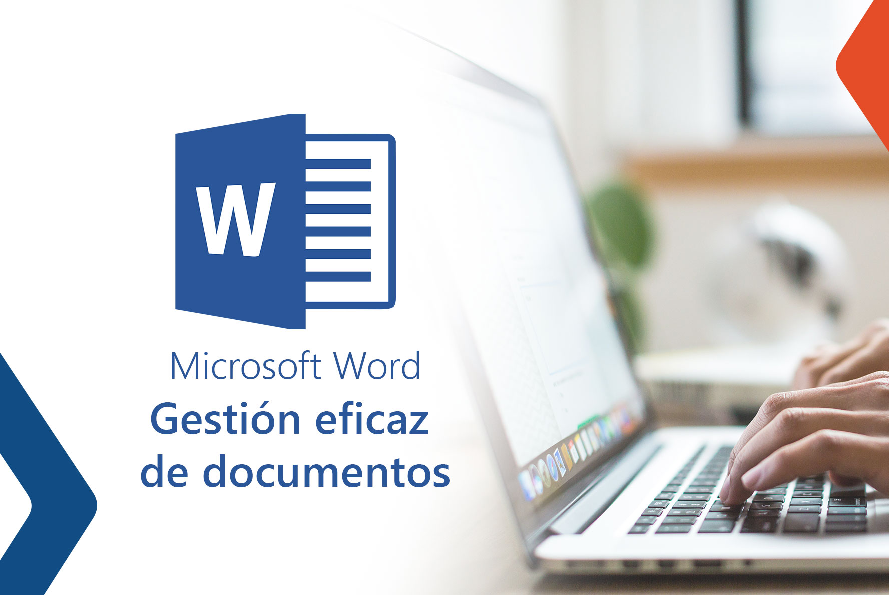  Creation and efficient management of documents in the company with MS Word